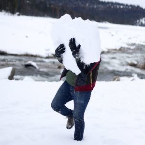 Meet your Posher, Phillip